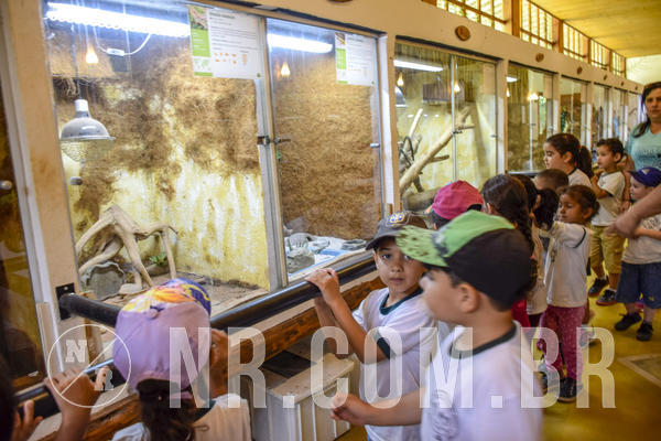 Buy your photos of the eventNR1 Day Camp 06/05/19 on Fotop