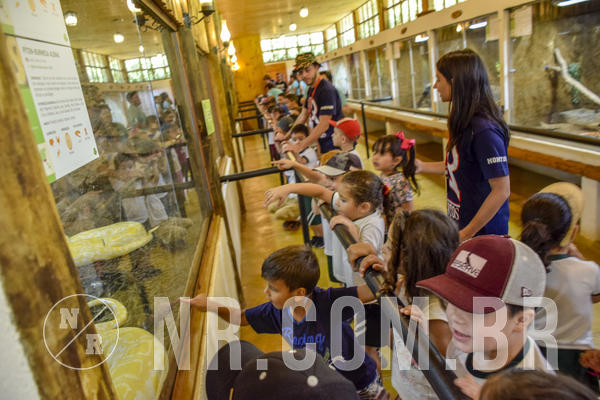 Buy your photos of the eventNR1 Day Camp 06/05/19 on Fotop