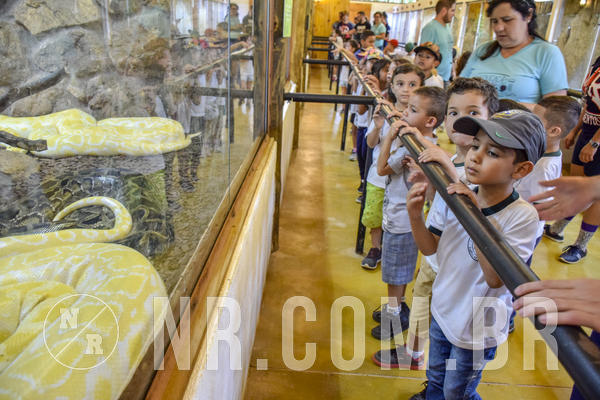 Buy your photos of the eventNR1 Day Camp 06/05/19 on Fotop