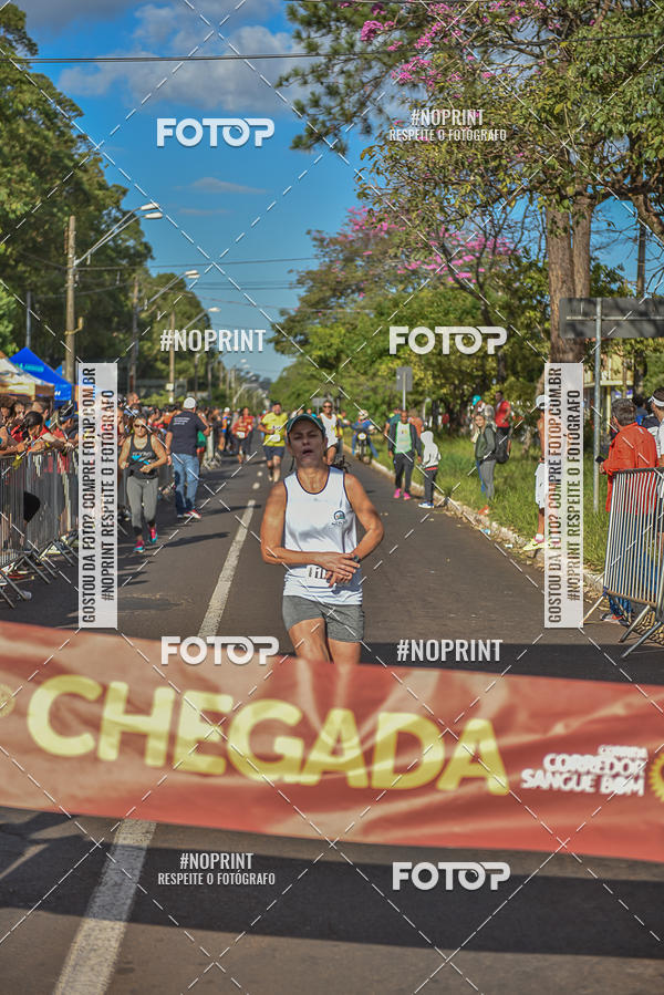 Buy your photos of the event2� CORRIDA CORREDOR SANGUE BOM on Fotop