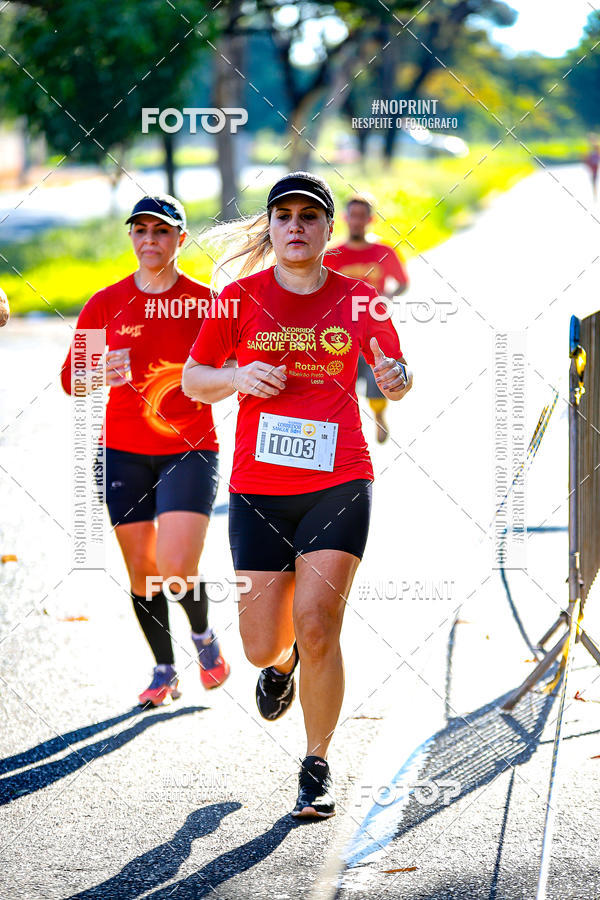 Buy your photos of the event2� CORRIDA CORREDOR SANGUE BOM on Fotop