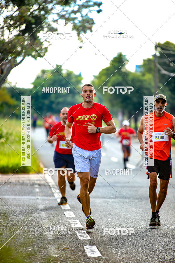 Buy your photos of the event2 CORRIDA CORREDOR SANGUE BOM on Fotop