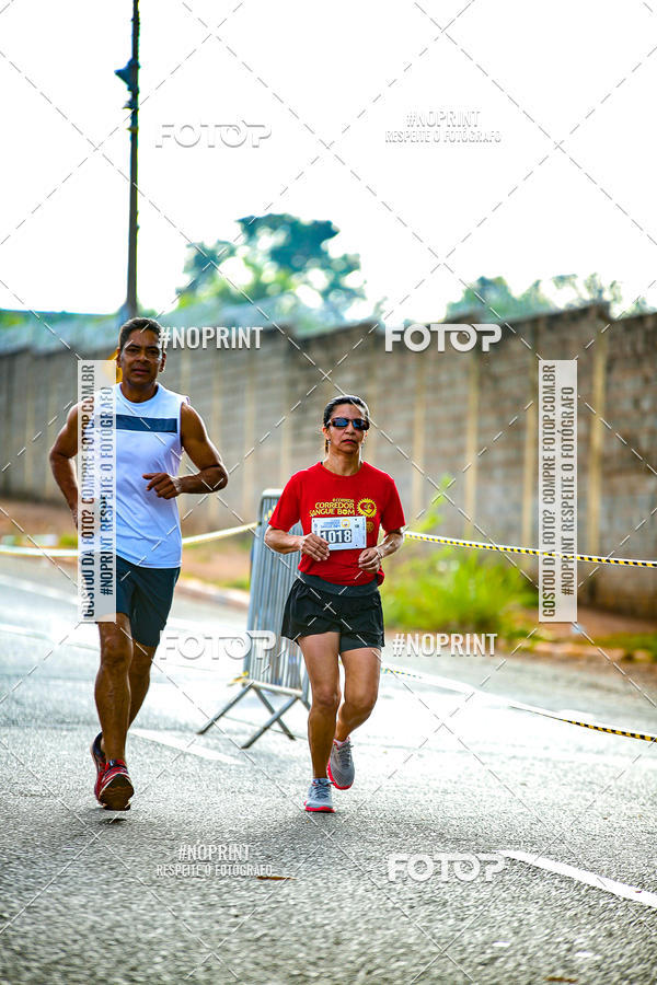 Buy your photos of the event2 CORRIDA CORREDOR SANGUE BOM on Fotop