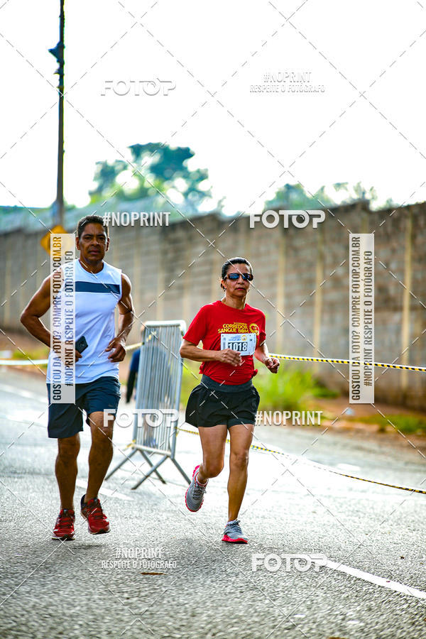 Buy your photos of the event2 CORRIDA CORREDOR SANGUE BOM on Fotop