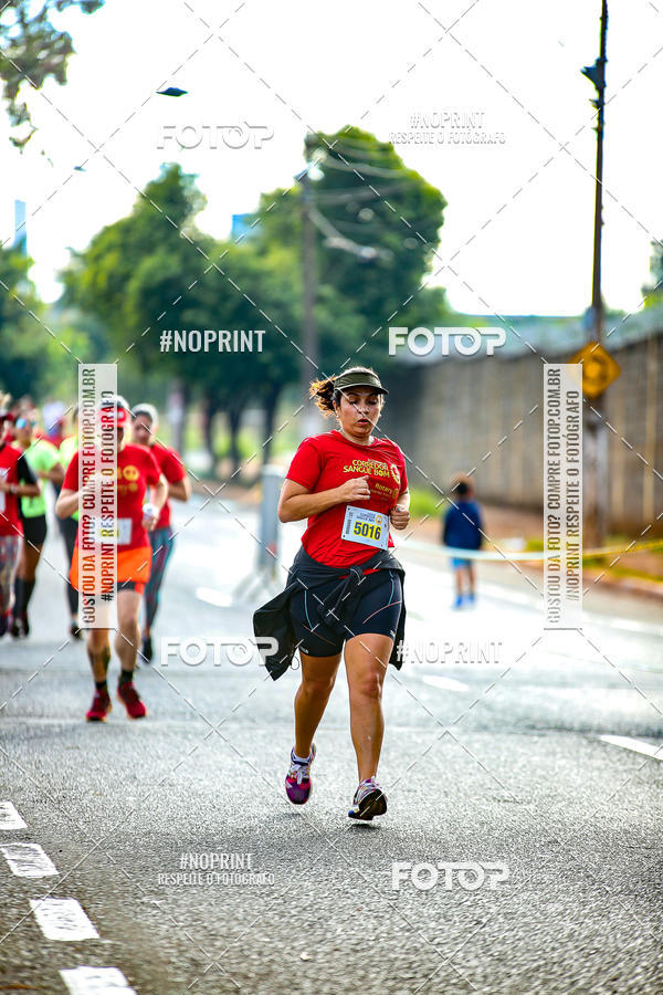 Buy your photos of the event2 CORRIDA CORREDOR SANGUE BOM on Fotop