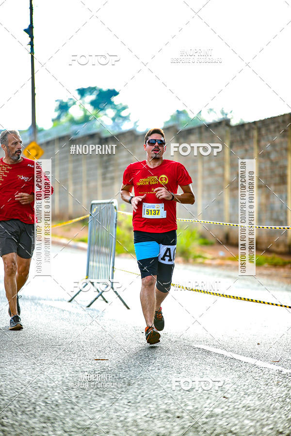 Buy your photos of the event2 CORRIDA CORREDOR SANGUE BOM on Fotop