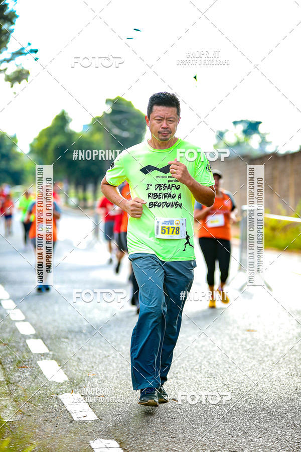 Buy your photos of the event2 CORRIDA CORREDOR SANGUE BOM on Fotop