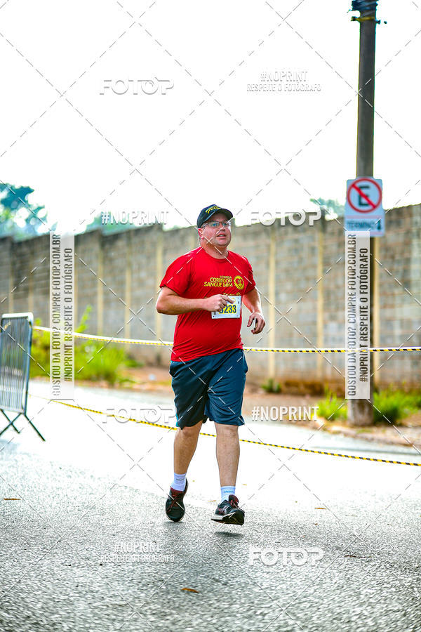 Buy your photos of the event2 CORRIDA CORREDOR SANGUE BOM on Fotop