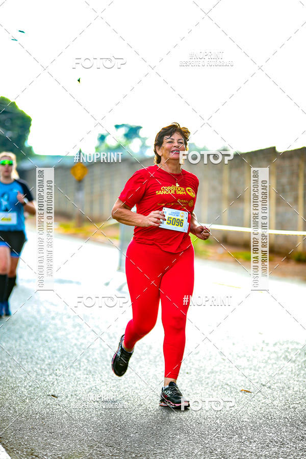 Buy your photos of the event2 CORRIDA CORREDOR SANGUE BOM on Fotop
