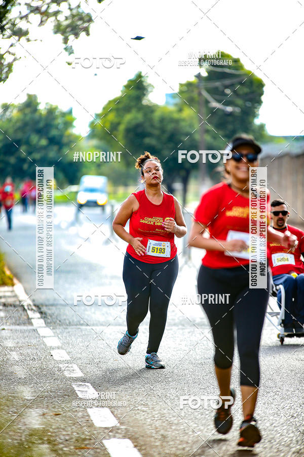 Buy your photos of the event2 CORRIDA CORREDOR SANGUE BOM on Fotop