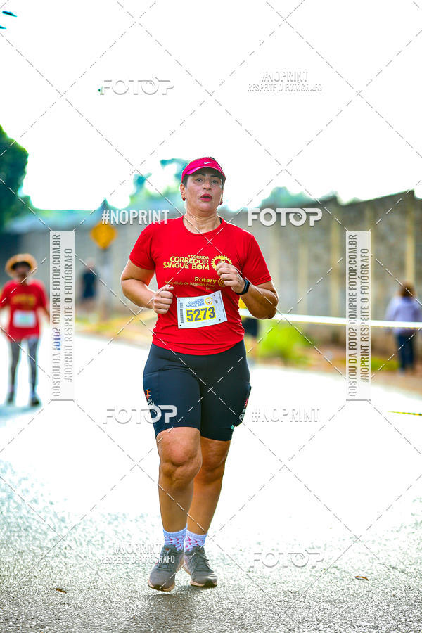 Buy your photos of the event2 CORRIDA CORREDOR SANGUE BOM on Fotop