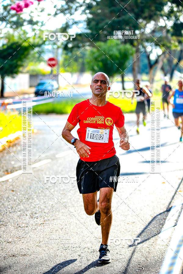 Buy your photos of the event2 CORRIDA CORREDOR SANGUE BOM on Fotop