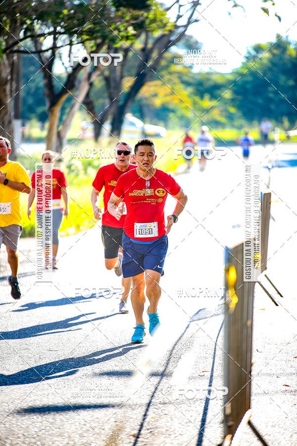Buy your photos of the event2� CORRIDA CORREDOR SANGUE BOM on Fotop