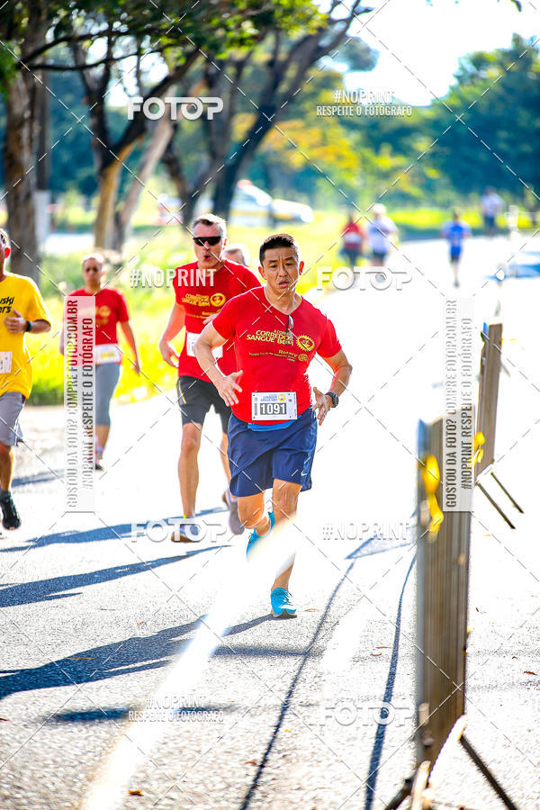 Buy your photos of the event2� CORRIDA CORREDOR SANGUE BOM on Fotop