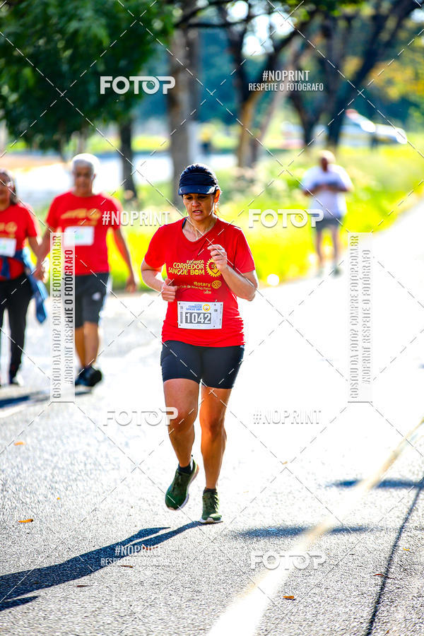 Buy your photos of the event2� CORRIDA CORREDOR SANGUE BOM on Fotop