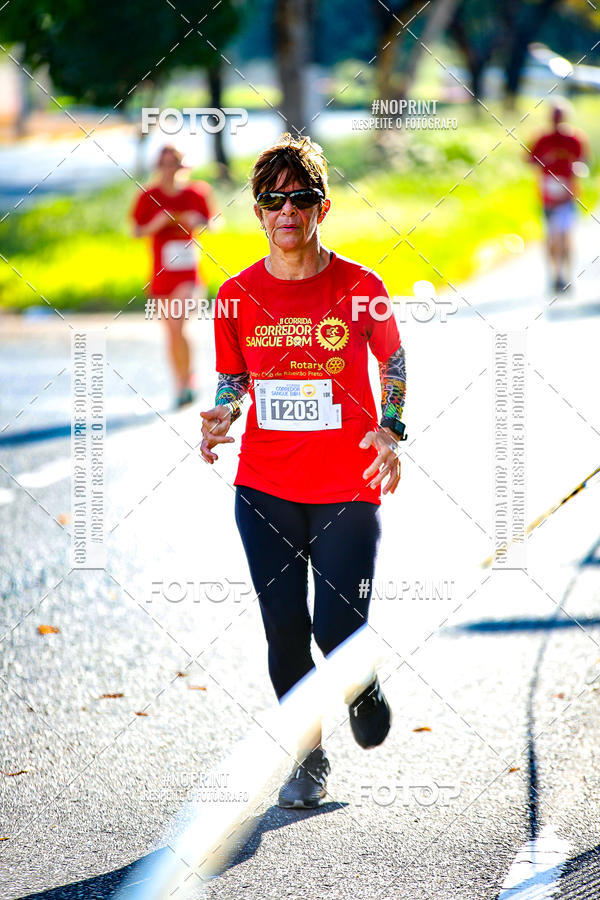 Buy your photos of the event2� CORRIDA CORREDOR SANGUE BOM on Fotop