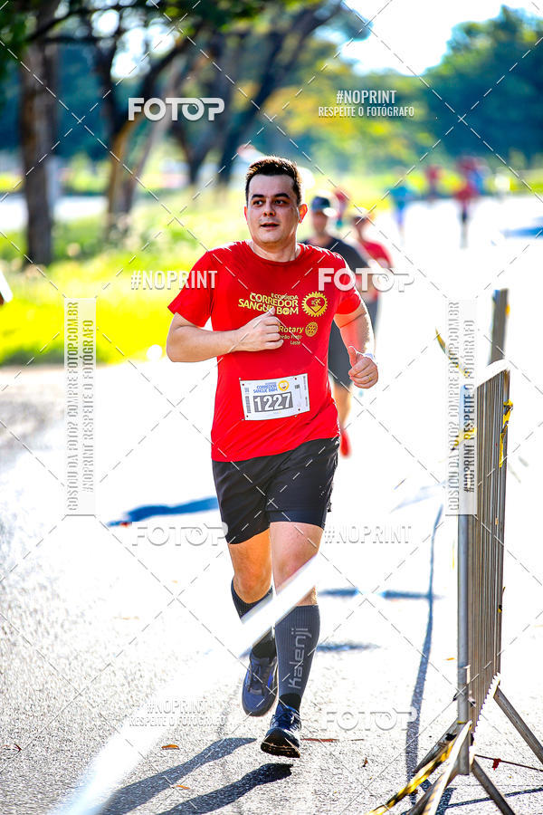 Buy your photos of the event2� CORRIDA CORREDOR SANGUE BOM on Fotop