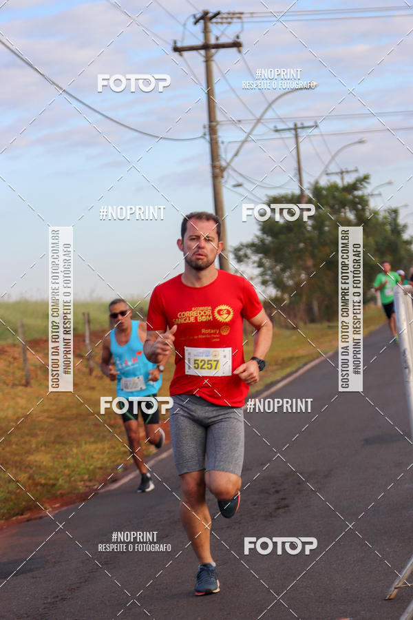 Buy your photos of the event2� CORRIDA CORREDOR SANGUE BOM on Fotop