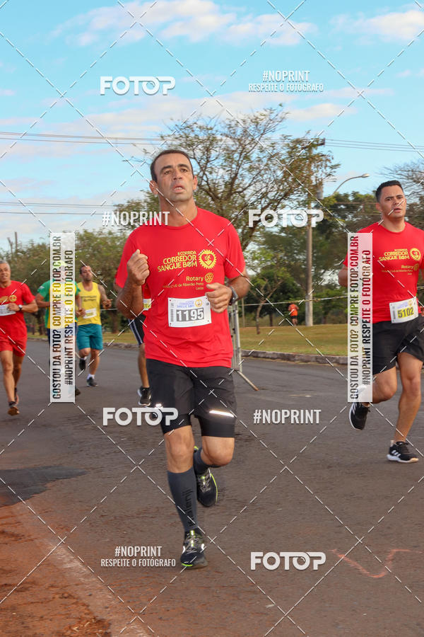 Buy your photos of the event2� CORRIDA CORREDOR SANGUE BOM on Fotop