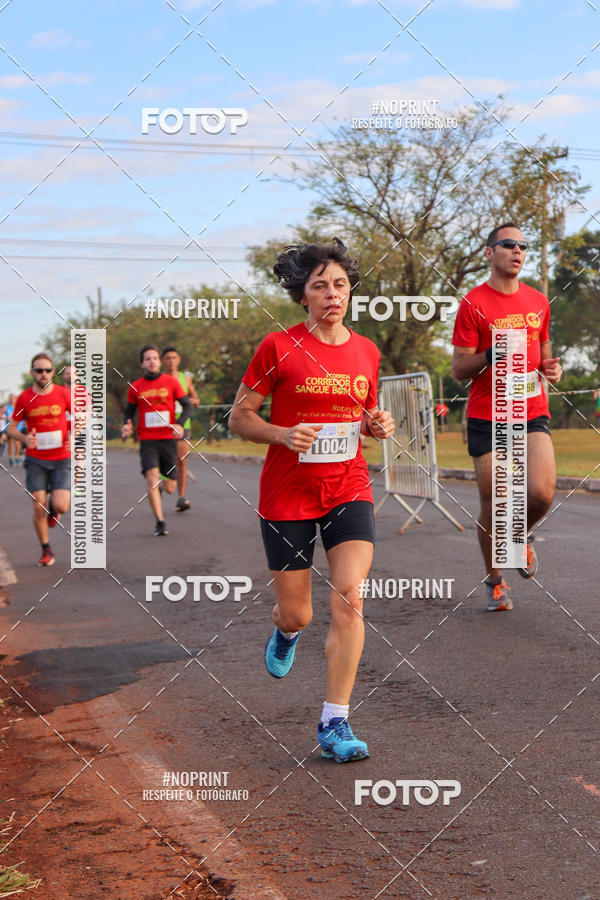 Buy your photos of the event2� CORRIDA CORREDOR SANGUE BOM on Fotop