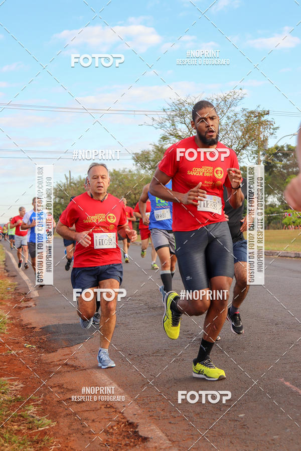 Buy your photos of the event2� CORRIDA CORREDOR SANGUE BOM on Fotop