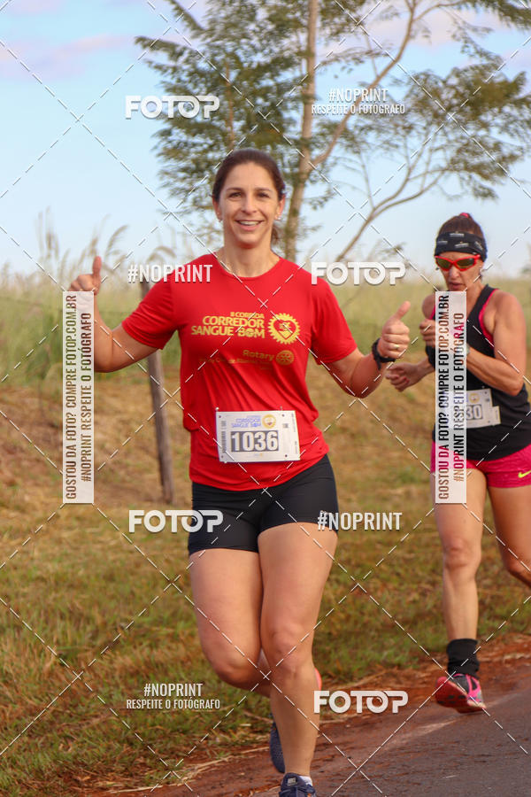 Buy your photos of the event2� CORRIDA CORREDOR SANGUE BOM on Fotop