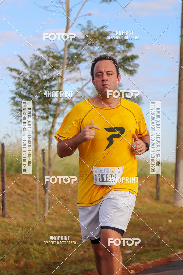 Buy your photos of the event2� CORRIDA CORREDOR SANGUE BOM on Fotop