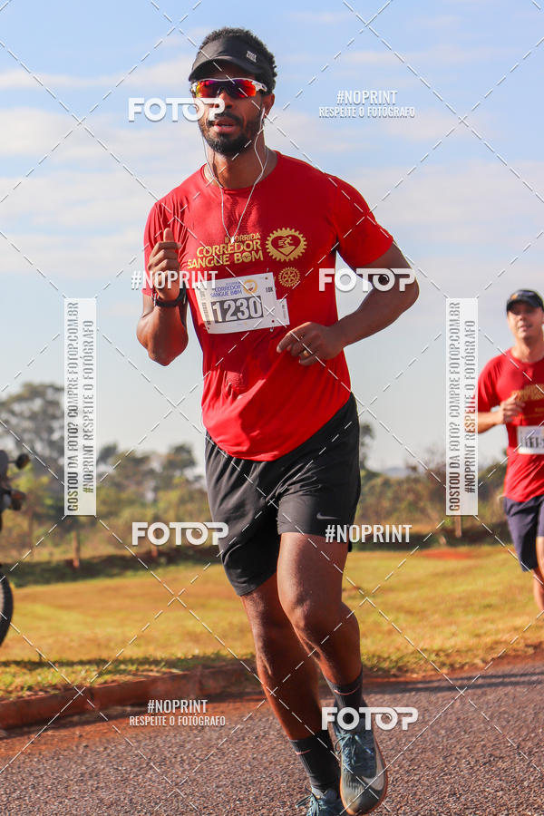 Buy your photos of the event2� CORRIDA CORREDOR SANGUE BOM on Fotop