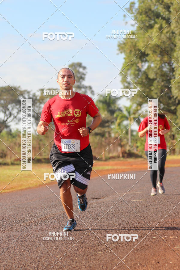 Buy your photos of the event2� CORRIDA CORREDOR SANGUE BOM on Fotop
