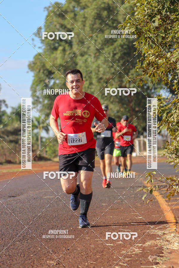 Buy your photos of the event2� CORRIDA CORREDOR SANGUE BOM on Fotop