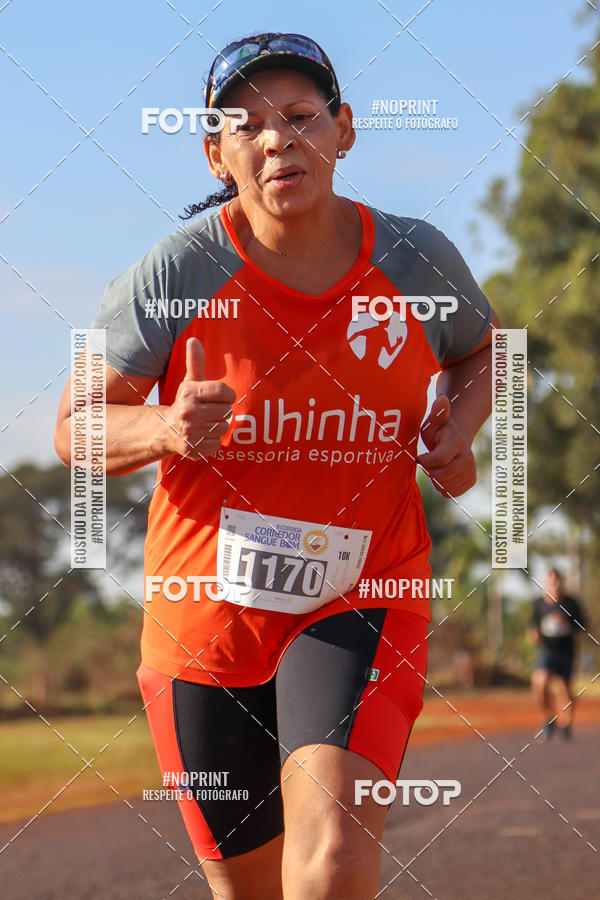 Buy your photos of the event2� CORRIDA CORREDOR SANGUE BOM on Fotop