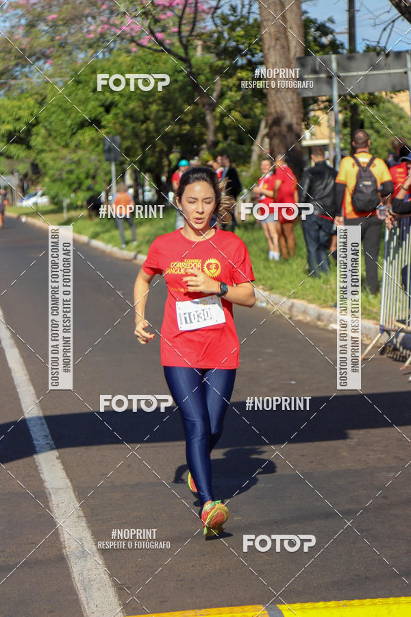Buy your photos of the event2� CORRIDA CORREDOR SANGUE BOM on Fotop