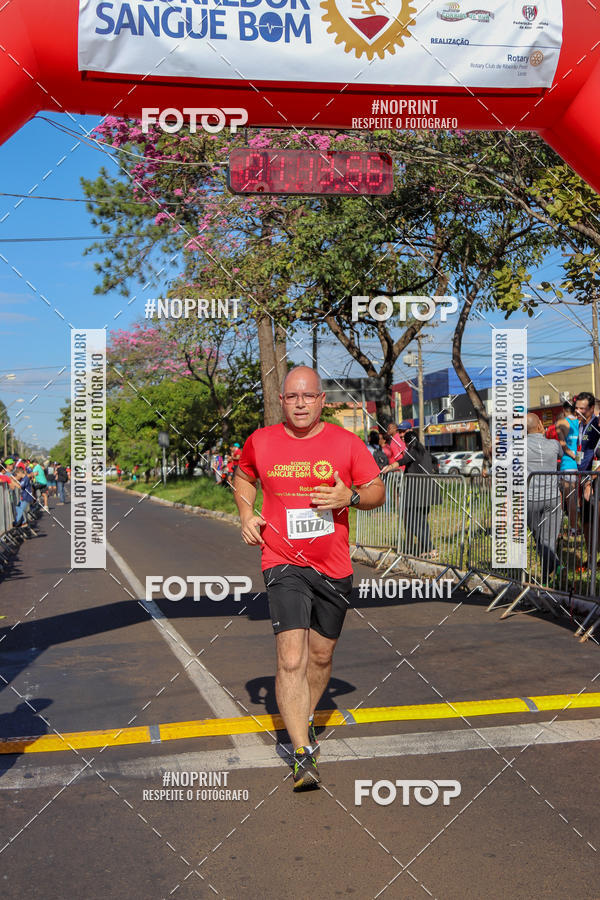 Buy your photos of the event2� CORRIDA CORREDOR SANGUE BOM on Fotop