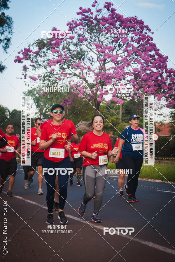 Buy your photos of the event2� CORRIDA CORREDOR SANGUE BOM on Fotop