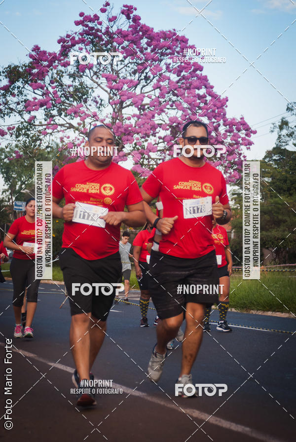 Buy your photos of the event2� CORRIDA CORREDOR SANGUE BOM on Fotop