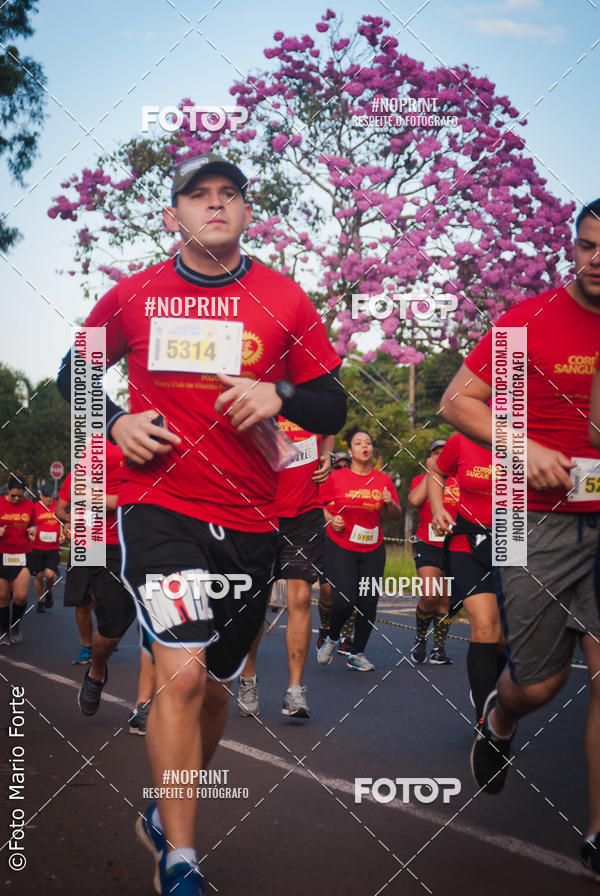 Buy your photos of the event2� CORRIDA CORREDOR SANGUE BOM on Fotop