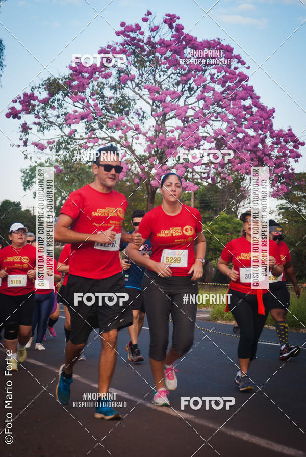 Buy your photos of the event2� CORRIDA CORREDOR SANGUE BOM on Fotop