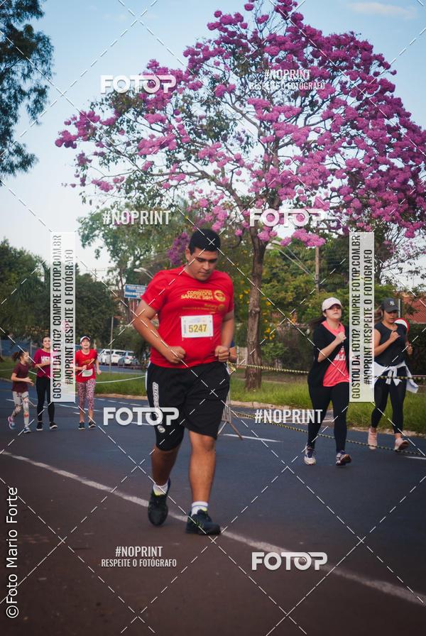 Buy your photos of the event2� CORRIDA CORREDOR SANGUE BOM on Fotop