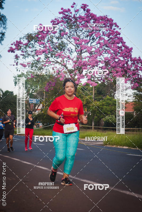 Buy your photos of the event2� CORRIDA CORREDOR SANGUE BOM on Fotop