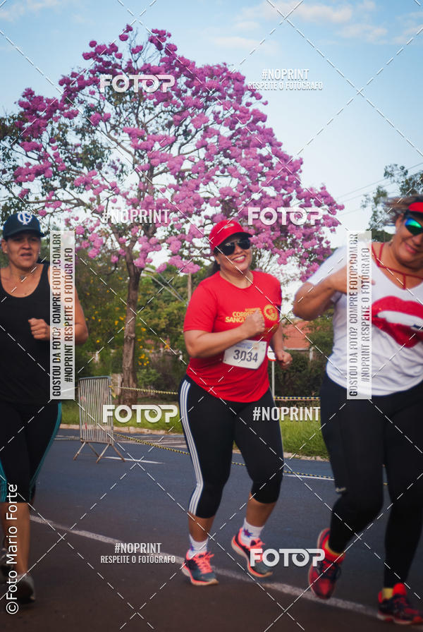 Buy your photos of the event2� CORRIDA CORREDOR SANGUE BOM on Fotop