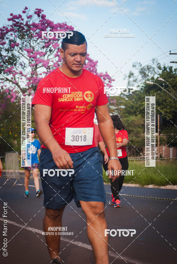 Buy your photos of the event2� CORRIDA CORREDOR SANGUE BOM on Fotop