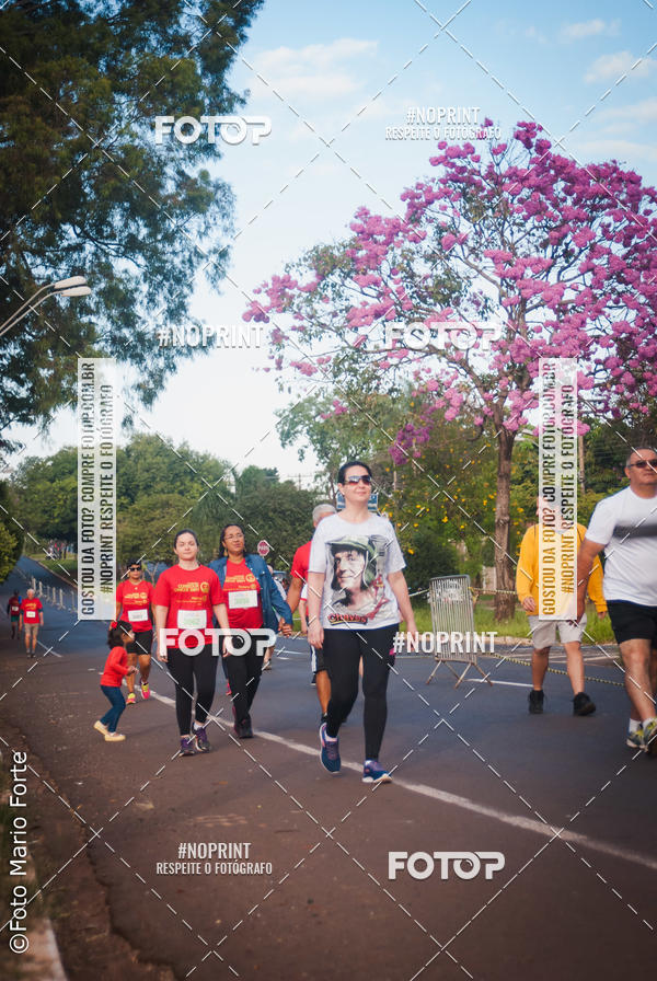 Buy your photos of the event2� CORRIDA CORREDOR SANGUE BOM on Fotop