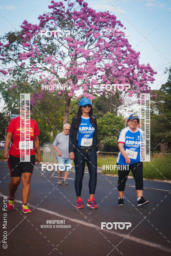 Buy your photos of the event2� CORRIDA CORREDOR SANGUE BOM on Fotop