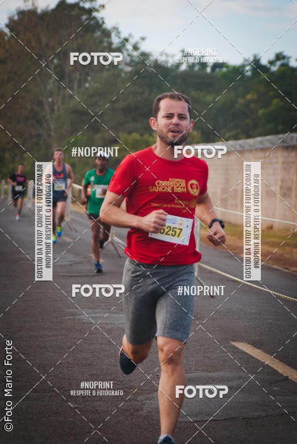 Buy your photos of the event2� CORRIDA CORREDOR SANGUE BOM on Fotop