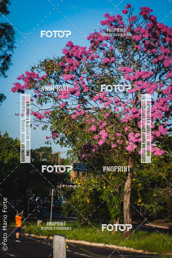 Buy your photos of the event2� CORRIDA CORREDOR SANGUE BOM on Fotop