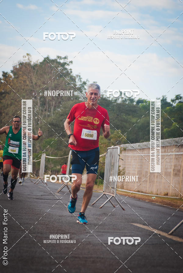 Buy your photos of the event2� CORRIDA CORREDOR SANGUE BOM on Fotop