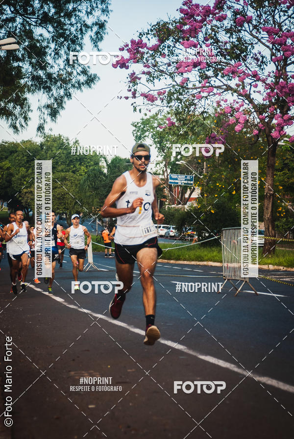 Buy your photos of the event2� CORRIDA CORREDOR SANGUE BOM on Fotop