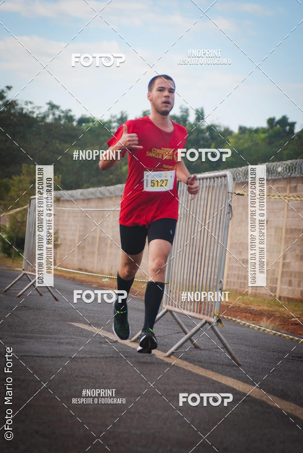 Buy your photos of the event2� CORRIDA CORREDOR SANGUE BOM on Fotop