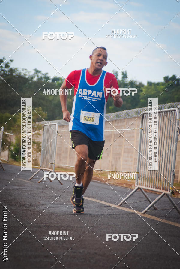 Buy your photos of the event2� CORRIDA CORREDOR SANGUE BOM on Fotop