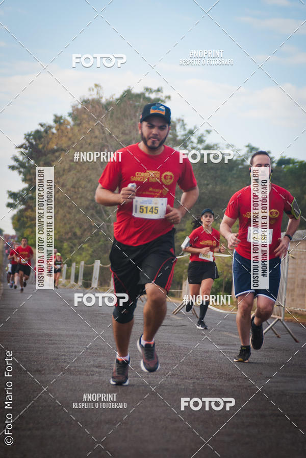 Buy your photos of the event2� CORRIDA CORREDOR SANGUE BOM on Fotop